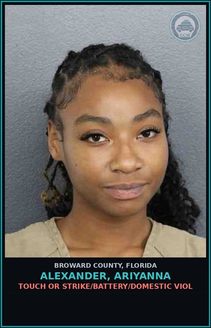 CCW arrest card for ALEXANDER, ARIYANNA in Broward County: TOUCH OR STRIKE/BATTERY/DOMESTIC VIOL