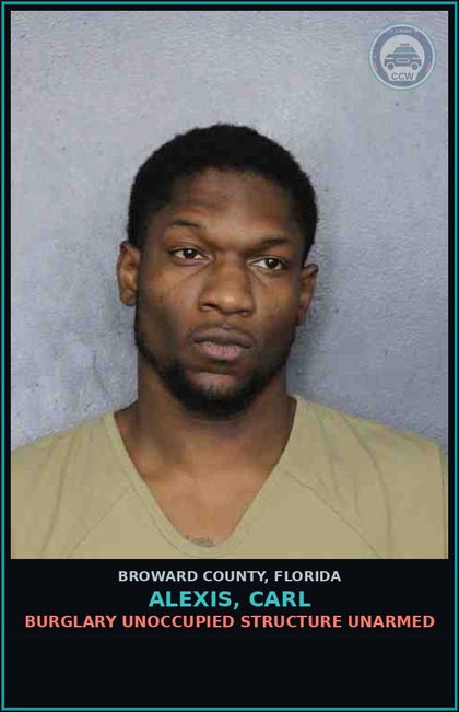CCW arrest card for ALEXIS, CARL in Broward County: PETIT THEFT-2ND DEGREE - 1ST OFFENSE