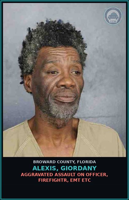 CCW arrest card for ALEXIS, GIORDANY in Broward County: AGGRAVATED ASSAULT ON OFFICER, FIREFIGHTR, EMT ETC