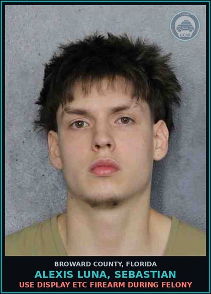 CCW arrest card for ALEXIS LUNA, SEBASTIAN in Broward County: UNLAWFUL SPEED POSTED STATE/INTERSCT   