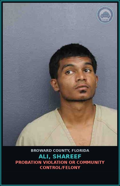 CCW arrest card for ALI, SHAREEF in Broward County: CRIM MISCH - 200 DOLLARS OR LESS 1ST OFF
