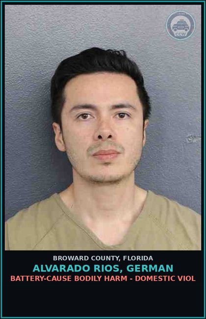 CCW arrest card for ALVARADO RIOS, GERMAN in Broward County: BATTERY-CAUSE BODILY HARM - DOMESTIC VIOL