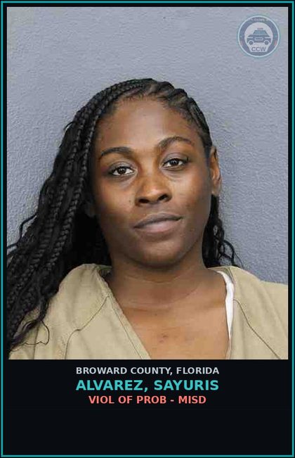CCW arrest card for ALVAREZ, SAYURIS in Broward County: VIOL OF PROB - MISD