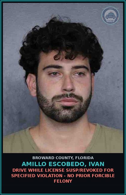 CCW arrest card for AMILLO ESCOBEDO, IVAN in Broward County: DRIVE WHILE LICENSE SUSP/REVOKED FOR SPECIFIED VIOLATION - NO PRIOR FORCIBLE FELONY