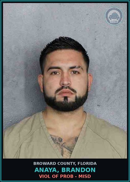 CCW arrest card for ANAYA, BRANDON in Broward County: VIOL OF PROB - MISD