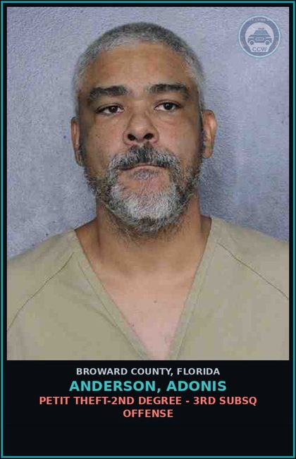 CCW arrest card for ANDERSON, ADONIS in Broward County: PETIT THEFT-2ND DEGREE - 3RD SUBSQ OFFENSE