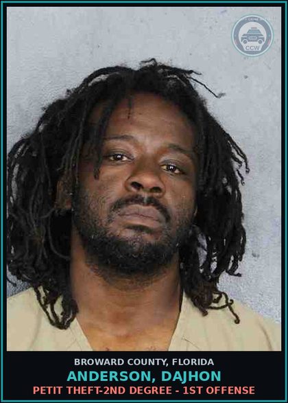 CCW arrest card for ANDERSON, DAJHON in Broward County: PETIT THEFT-2ND DEGREE - 1ST OFFENSE