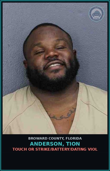 CCW arrest card for ANDERSON, TION in Broward County: TOUCH OR STRIKE/BATTERY/DATING VIOL
