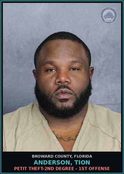 CCW arrest card for ANDERSON, TION in Broward County: PETIT THEFT-2ND DEGREE - 1ST OFFENSE