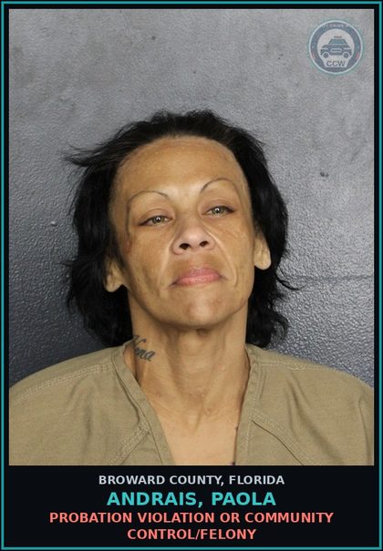 CCW arrest card for ANDRAIS, PAOLA in Broward County: POSSESSION OF COCAINE