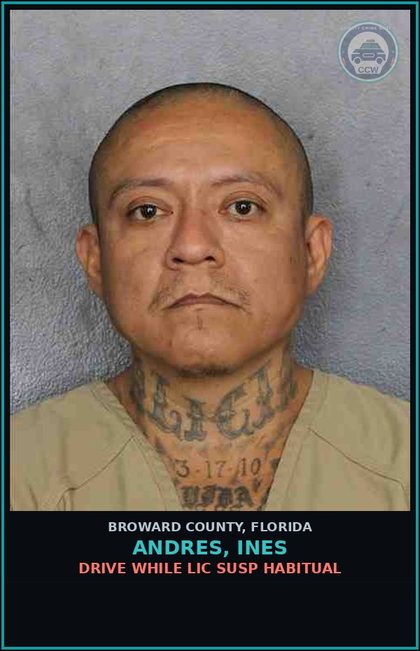 CCW arrest card for ANDRES, INES in Broward County: DRIVE WHILE LIC SUSP HABITUAL