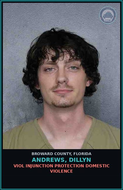 CCW arrest card for ANDREWS, DILLYN in Broward County: VIOL INJUNCTION PROTECTION DOMESTIC VIOLENCE