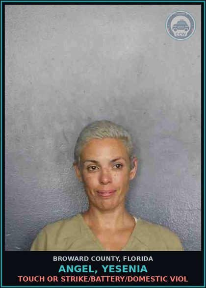 CCW arrest card for ANGEL, YESENIA in Broward County: TOUCH OR STRIKE/BATTERY/DOMESTIC VIOL