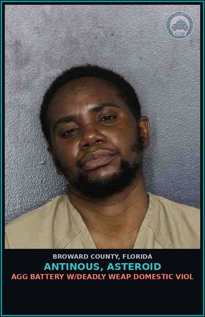 CCW arrest card for ANTINOUS, ASTEROID in Broward County: AGG BATTERY W/DEADLY WEAP DOMESTIC VIOL