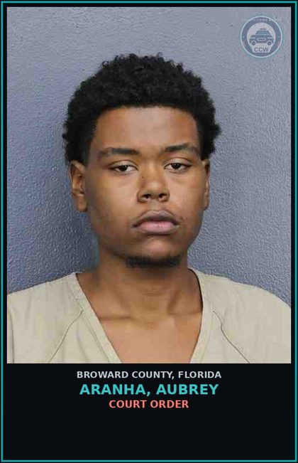 CCW arrest card for ARANHA, AUBREY in Broward County: COURT ORDER