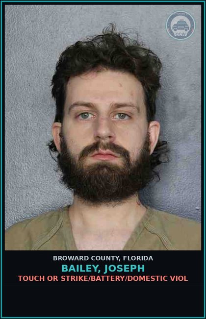 CCW arrest card for BAILEY, JOSEPH in Broward County: TOUCH OR STRIKE/BATTERY/DOMESTIC VIOL