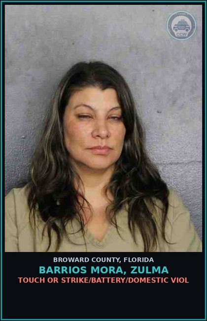 CCW arrest card for BARRIOS MORA, ZULMA in Broward County: TOUCH OR STRIKE/BATTERY/DOMESTIC VIOL
