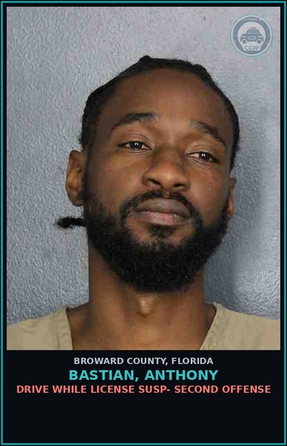 CCW arrest card for BASTIAN, ANTHONY in Broward County: DRIVE WHILE LICENSE SUSP- SECOND OFFENSE
