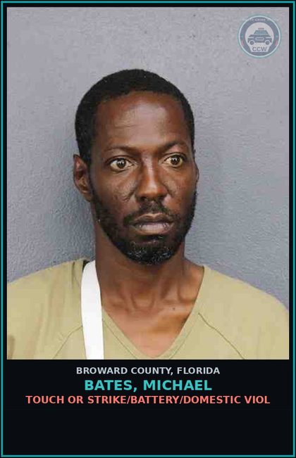 CCW arrest card for BATES, MICHAEL in Broward County: TOUCH OR STRIKE/BATTERY/DOMESTIC VIOL