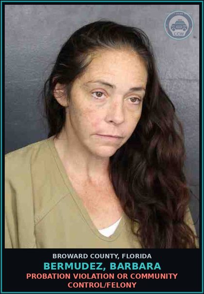 CCW arrest card for BERMUDEZ, BARBARA in Broward County: POSSESSION OF Fent 