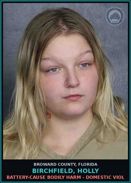 CCW arrest card for BIRCHFIELD, HOLLY in Broward County: BATTERY-CAUSE BODILY HARM - DOMESTIC VIOL