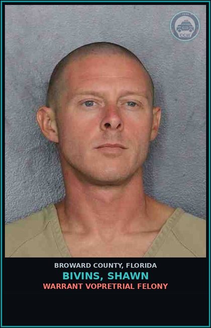 CCW arrest card for BIVINS, SHAWN in Broward County: PETIT THEFT-2ND DEGREE - 1ST OFFENSE