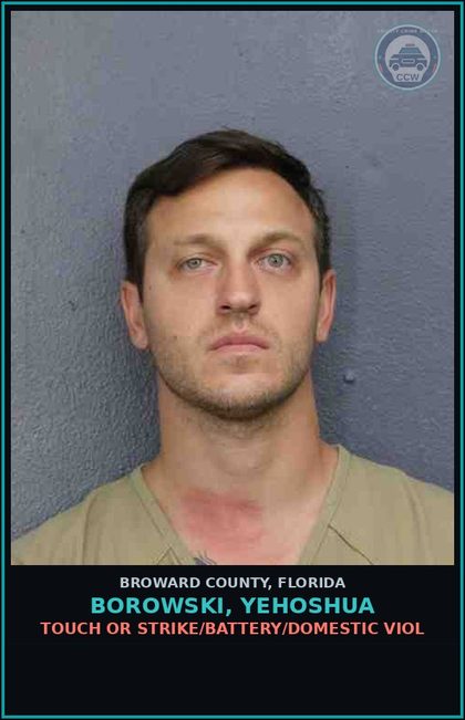 CCW arrest card for BOROWSKI, YEHOSHUA in Broward County: TOUCH OR STRIKE/BATTERY/DOMESTIC VIOL