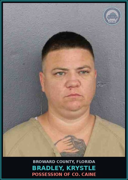 CCW arrest card for BRADLEY, KRYSTLE in Broward County: POSSESS Canna OVR 20 GRMS/SYNTH CANN OVR 3 GRMS