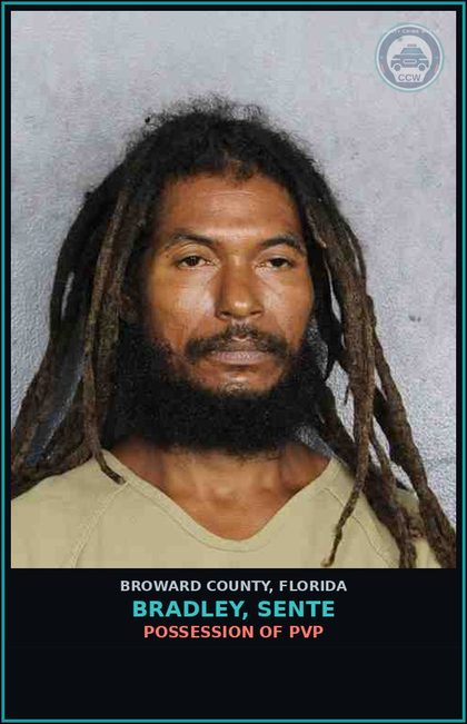 CCW arrest card for BRADLEY, SENTE in Broward County: POSSESSION OF PVP