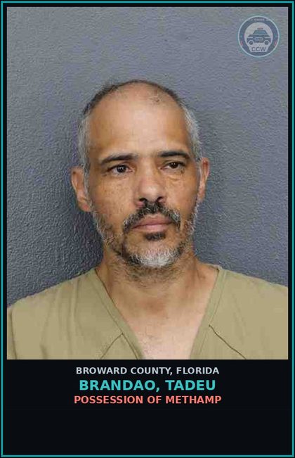 CCW arrest card for BRANDAO, TADEU in Broward County: SIDE WIND/REST SUNSCREEN      