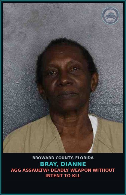 CCW arrest card for BRAY, DIANNE in Broward County: AGG ASSAULTW/ DEADLY WEAPON WITHOUT INTENT TO KILL