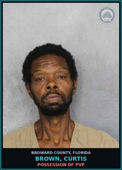 CCW arrest card for BROWN, CURTIS in Broward County: POSSESSION OF PVP