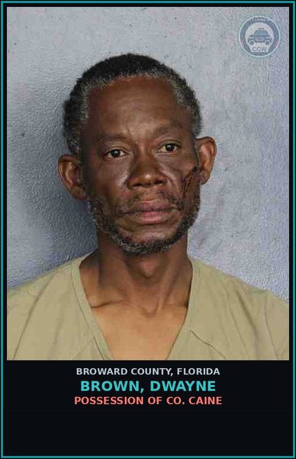 CCW arrest card for BROWN, DWAYNE in Broward County: POSSESSION OF COCAINE