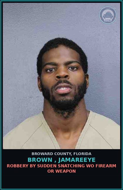 CCW arrest card for BROWN , JAMAREEYE in Broward County: RESIST OFFICER-OBSTRUCT WITHOUT VIOLENCE
