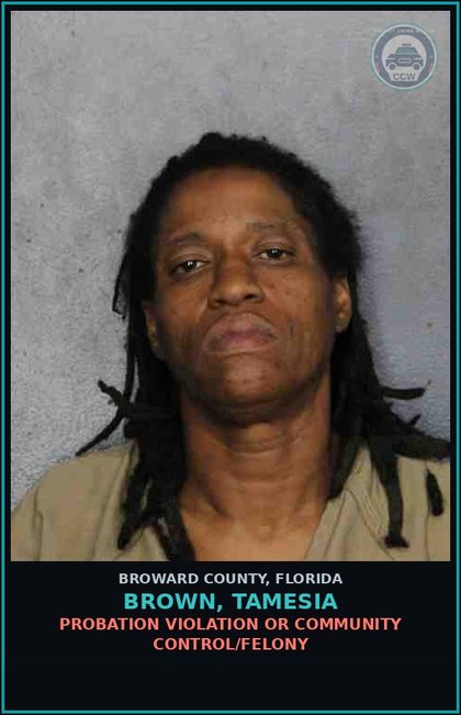 CCW arrest card for BROWN, TAMESIA in Broward County: FALSE ID GIVEN TO LEO
