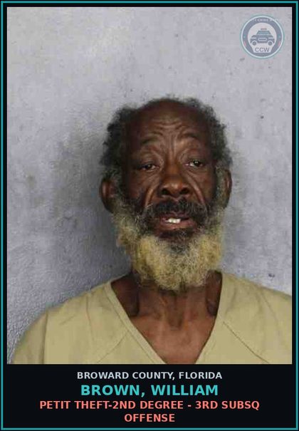 CCW arrest card for BROWN, WILLIAM in Broward County: PETIT THEFT-2ND DEGREE - 3RD SUBSQ OFFENSE