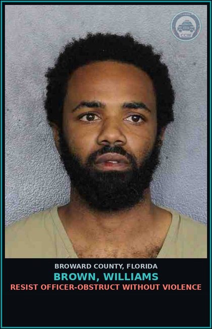 CCW arrest card for BROWN, WILLIAMS in Broward County: AGGRAVATED FLEEING W INJURY OR DAMAGE