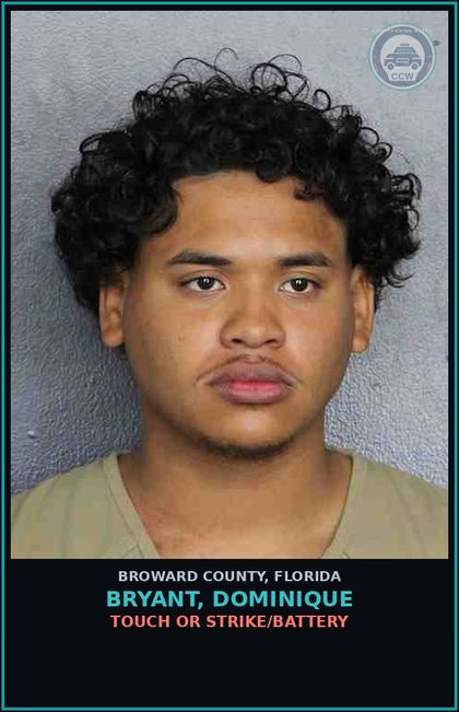 CCW arrest card for BRYANT, DOMINIQUE in Broward County: DISORDERLY INTOXICATION-PUBLIC PLACE CAUSE DISTURB