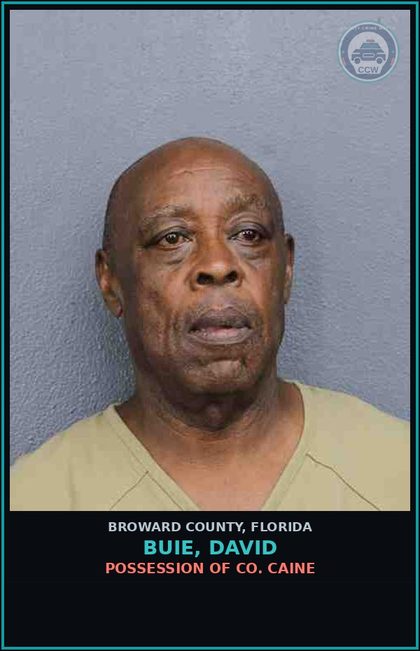 CCW arrest card for BUIE, DAVID in Broward County: ADVERTISEMENT OF DRUG PARAPHERNALIA
