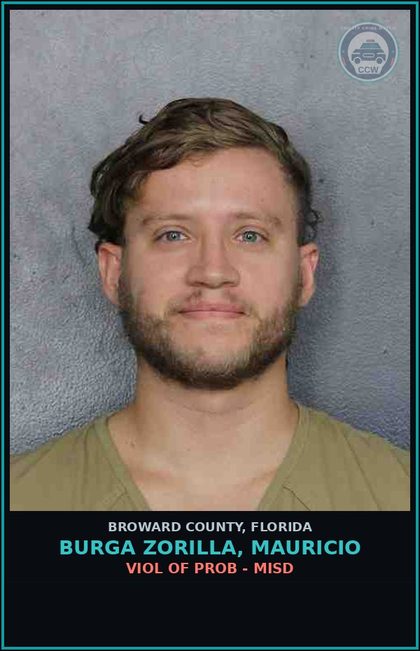 CCW arrest card for BURGA ZORILLA, MAURICIO in Broward County: VIOL OF PROB - MISD