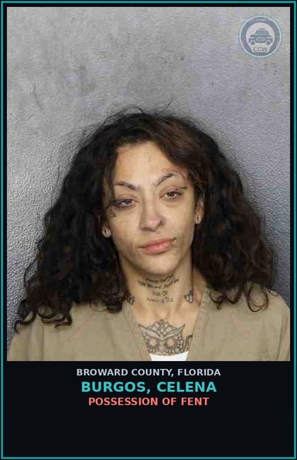 CCW arrest card for BURGOS, CELENA in Broward County: POSSESSION OF Fent 