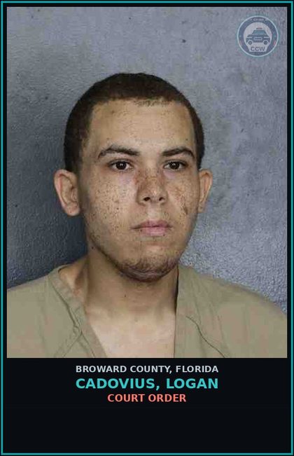 CCW arrest card for CADOVIUS, LOGAN in Broward County: COURT ORDER