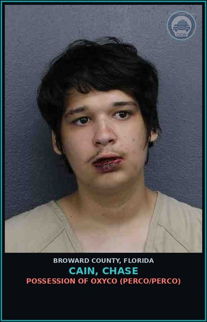 CCW arrest card for CAIN, CHASE in Broward County: TAMPER WITH OR FABRICATE PHYSICAL EVIDENCE