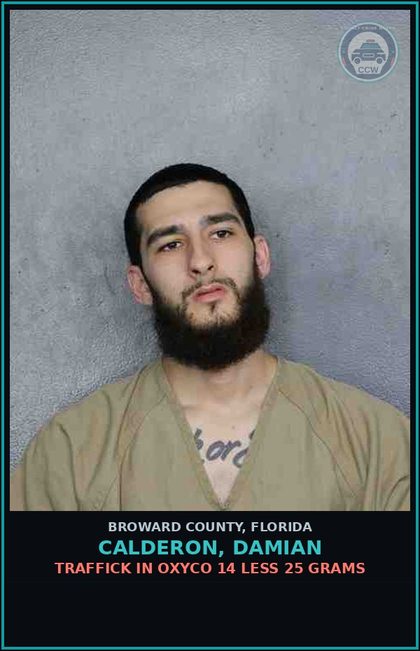 CCW arrest card for CALDERON, DAMIAN in Broward County: TRAFFICK IN oxyco 14 LESS 25 GRAMS