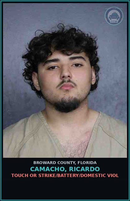 CCW arrest card for CAMACHO, RICARDO in Broward County: TOUCH OR STRIKE/BATTERY/DOMESTIC VIOL