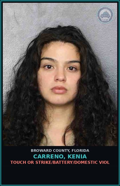 CCW arrest card for CARRENO, KENIA in Broward County: TOUCH OR STRIKE/BATTERY/DOMESTIC VIOL