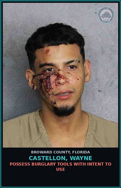 CCW arrest card for CASTELLON, WAYNE in Broward County: EXPOSURE OF s3xual ORGANS - 1ST OFFENSE