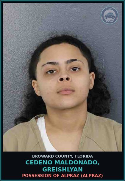 CCW arrest card for CEDENO MALDONADO, GREISHLYAN in Broward County: POSSESSION OF ALPRAZ (XANAX)