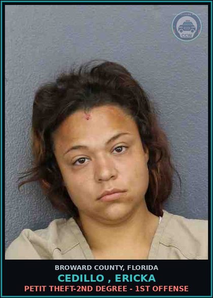 CCW arrest card for CEDILLO , ERICKA in Broward County: PETIT THEFT-2ND DEGREE - 1ST OFFENSE