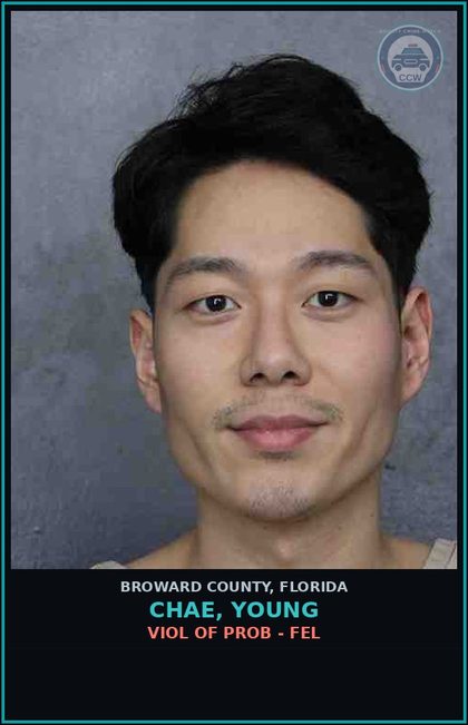 CCW arrest card for CHAE, YOUNG in Broward County: VIOL OF PROB - FEL
